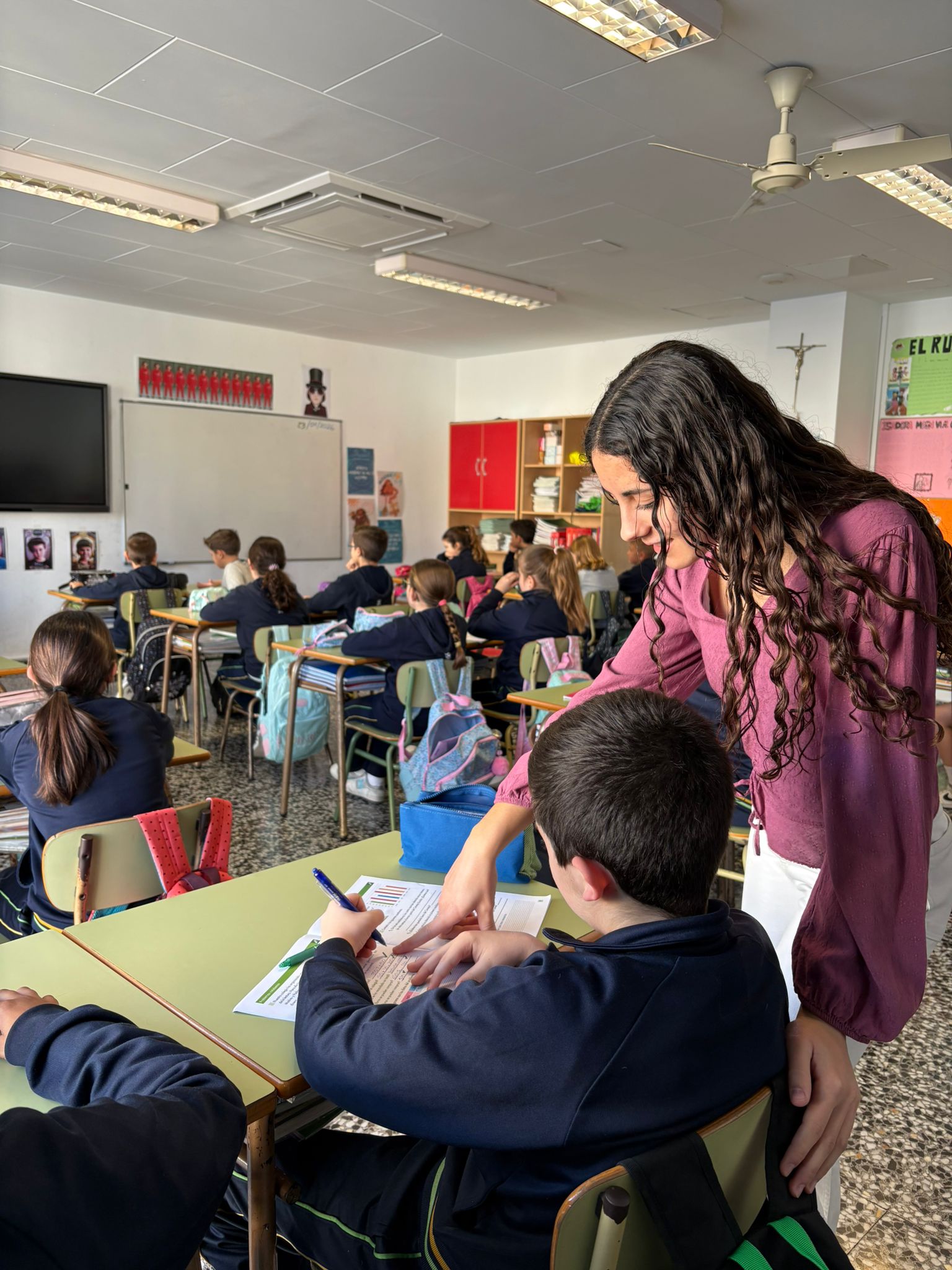 Finalitza el Programa Mentor amb èxit	